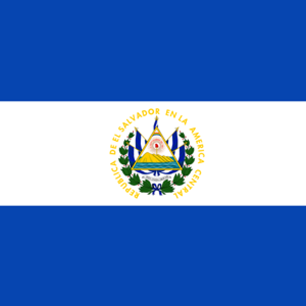 The ORL Society of El Salvador