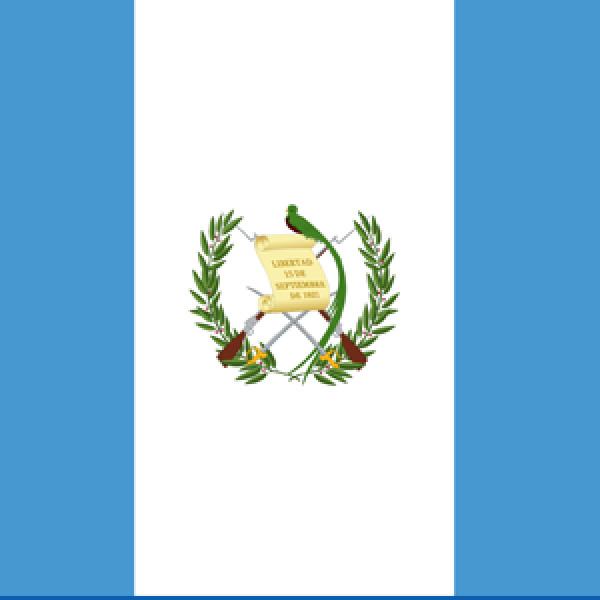 The ORL Society of Guatemala