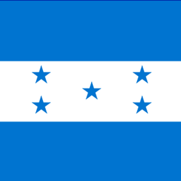 The ORL Society of Honduras