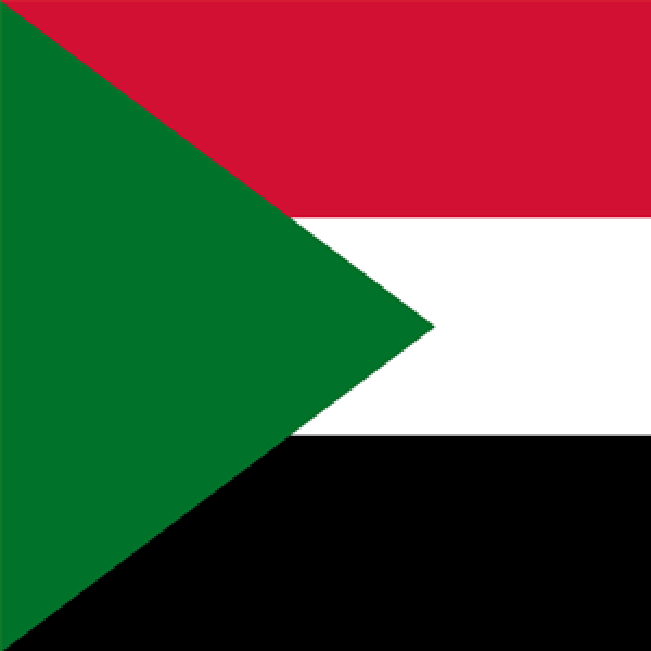 Sudan ORL Society