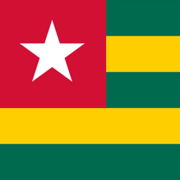 Société Bénino-Togolaise d'ORL et de Chirurgie Cervico-faciale (SOBETORL)